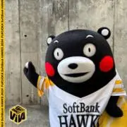 たけさん
