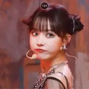 コアラの画像