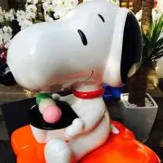たあちゃんの画像