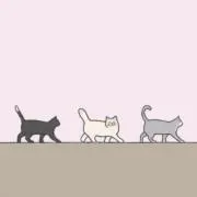 minacoの画像