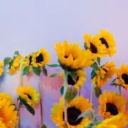 com 7/17-21発送不可の画像