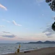 JINの画像