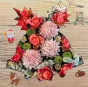 tomo•*¨*•.¸¸☆*・゜