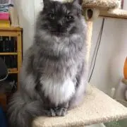 イオン3