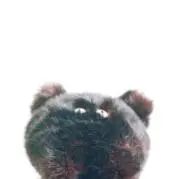 くろの画像