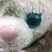 あやにゃん。の画像