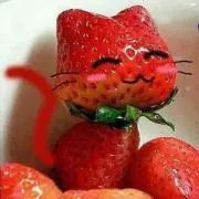 ゆき