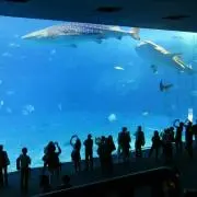 りー☆*°の画像