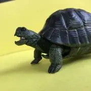 ttkuの画像