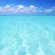 甜麺醤♪の画像