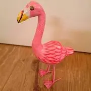 みんごの画像