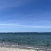 chomoの画像