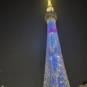 ありすの画像