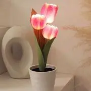 eriの画像