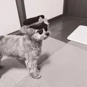 chamakoの画像