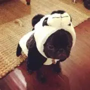 ひつまぶしの画像