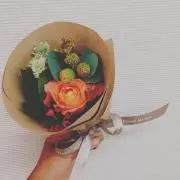 HIMAの画像