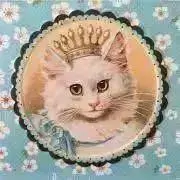 ルナルナの画像