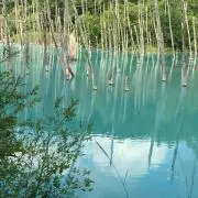 あきの画像