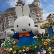 もぴ☆の画像
