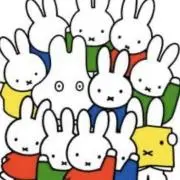 断捨離してますの画像