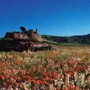 Image of Zyun