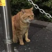 かずちゃん