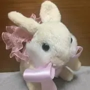 KATY☆の画像