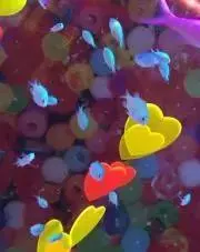natoriの画像