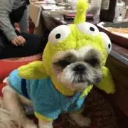 minneyの画像
