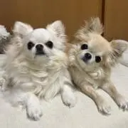 晴の画像