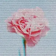 oioの画像