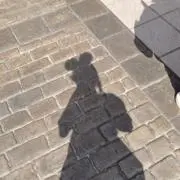 桃たるとおおの画像