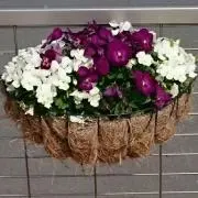 SH 【即購入OKです】の画像