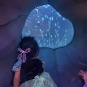 みりの画像