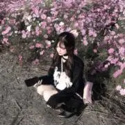 ふの画像