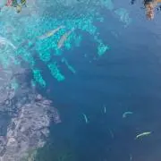 みどりんの画像