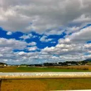 ∞ 妖怪消しゴム拾い ∞の画像