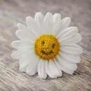 ☆a.a☆