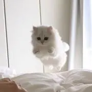 み#の画像