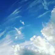 なぽの画像