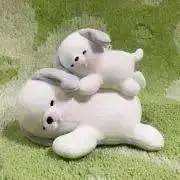 あやたかの画像