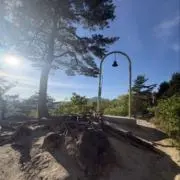y07の画像