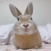 む