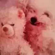Ramu Ramu