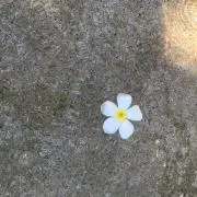 no.24の画像