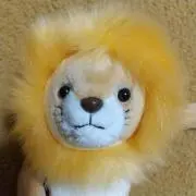 ラクダ