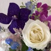 ののの画像