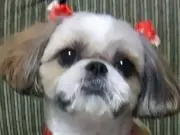 ☆bug☆の画像