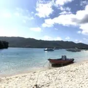 ha--yanの画像